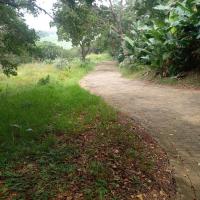  of property in Hibberdene