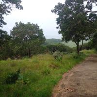  of property in Hibberdene