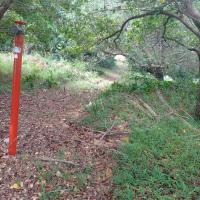  of property in Hibberdene
