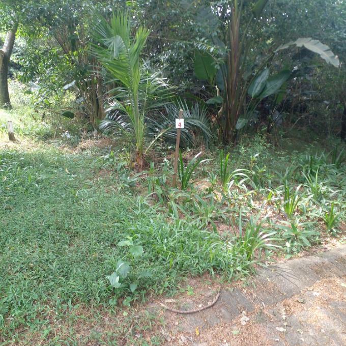 Sectional Title for Sale For Sale in Hibberdene - MR673769