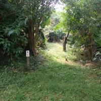  of property in Hibberdene