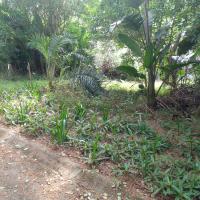  of property in Hibberdene