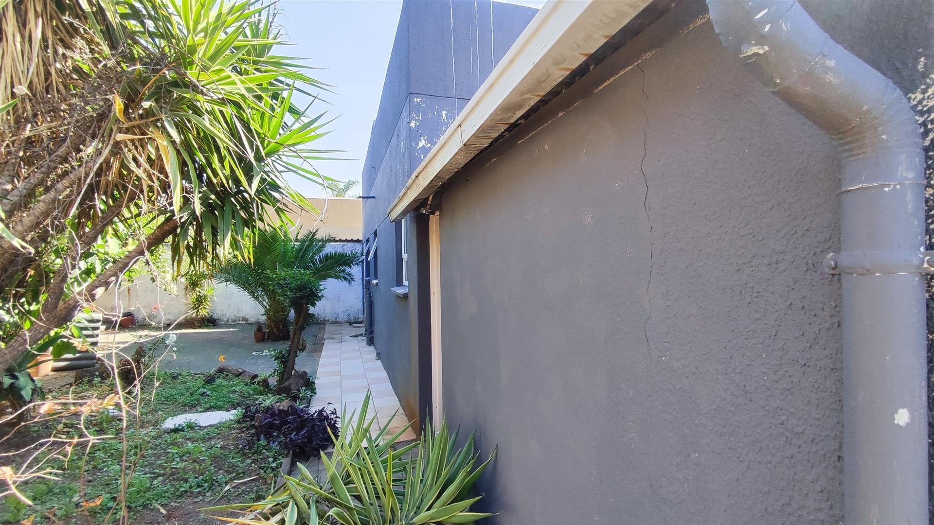 Backyard of property in Terenure