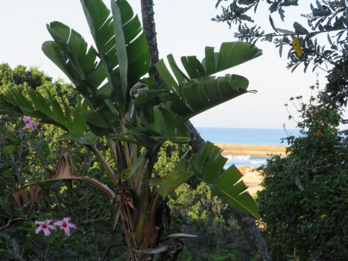 Land for Sale For Sale in Port Alfred - MR673848