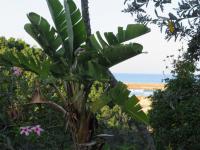  of property in Port Alfred