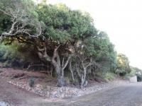  of property in Port Alfred