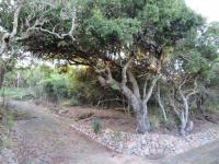  of property in Port Alfred