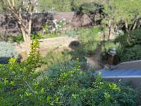  of property in Barrydale