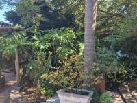  of property in Goedemoed