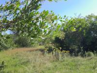  of property in Wittedrift
