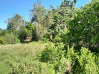  of property in Wittedrift