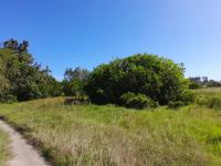  of property in Wittedrift