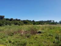  of property in Wittedrift