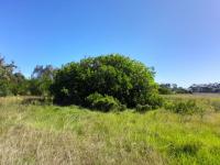  of property in Wittedrift