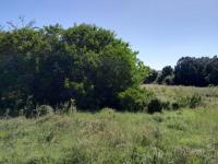  of property in Wittedrift