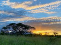  of property in Hoedspruit