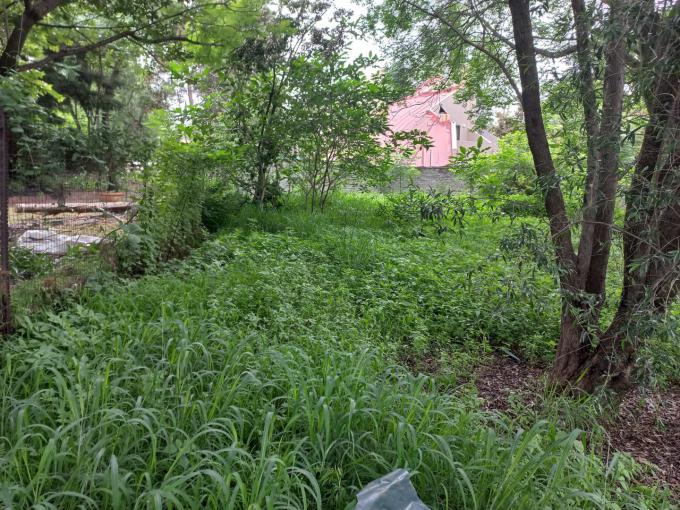Land for Sale For Sale in Buccleuch - MR673983