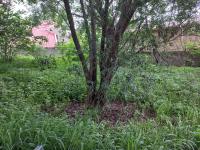  of property in Buccleuch