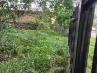  of property in Buccleuch