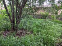  of property in Buccleuch