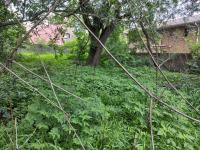  of property in Buccleuch