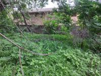  of property in Buccleuch