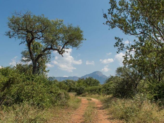 Land for Sale For Sale in Hoedspruit - MR674063