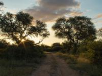  of property in Hoedspruit