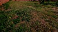 of property in Bendor