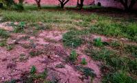  of property in Bendor