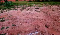  of property in Bendor