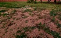  of property in Bendor