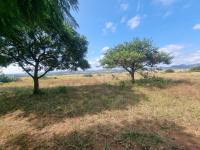  of property in Polokwane
