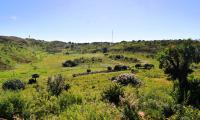  of property in Polokwane