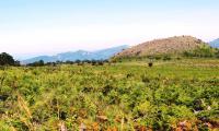  of property in Polokwane
