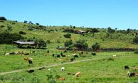  of property in Polokwane
