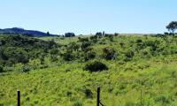  of property in Polokwane