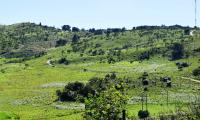  of property in Polokwane