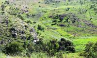  of property in Polokwane
