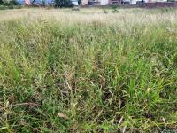  of property in Polokwane
