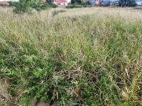  of property in Polokwane