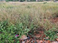  of property in Polokwane