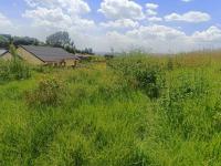  of property in Zakariyya Park