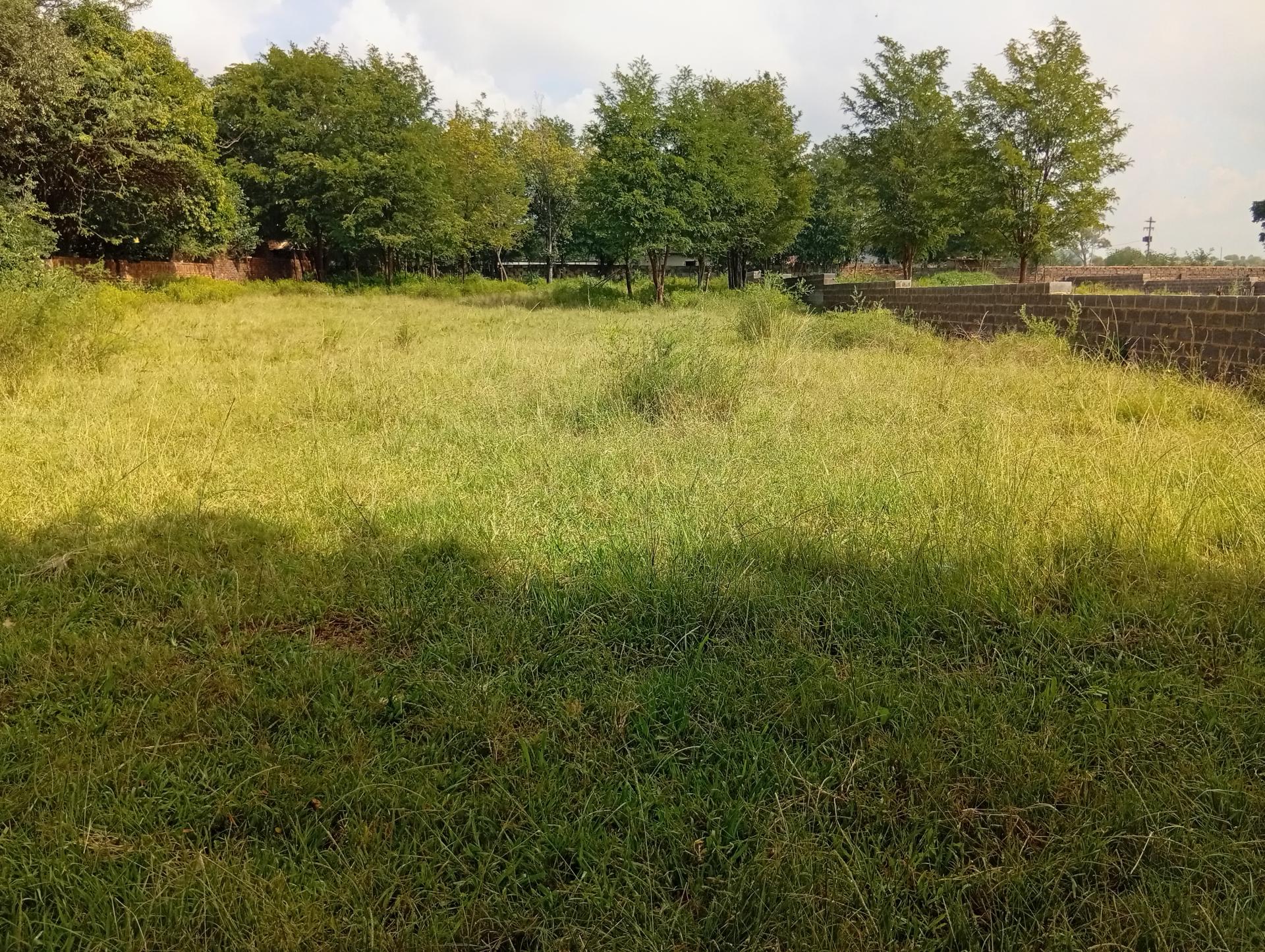 Front View of property in Daleside