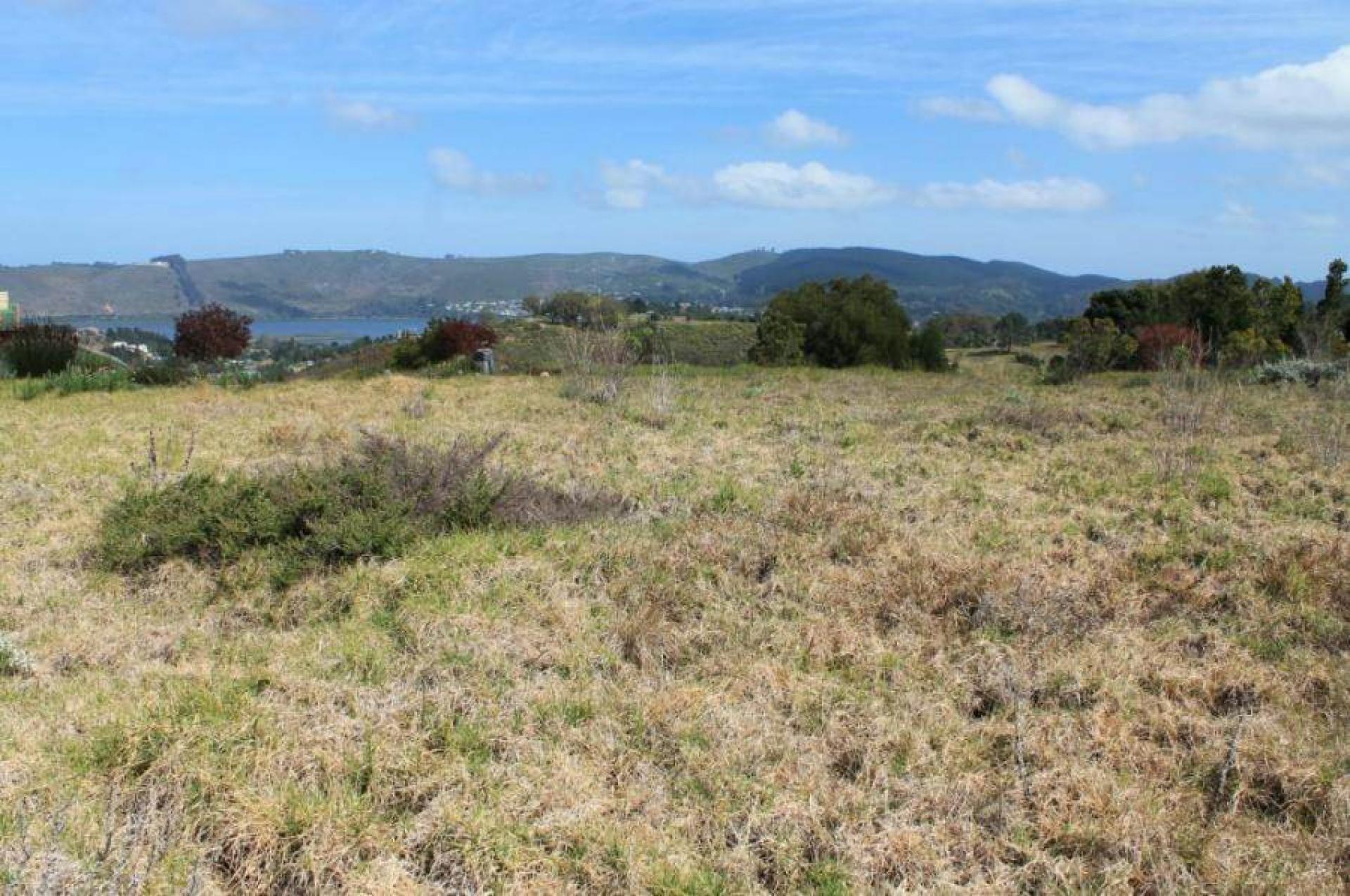  of property in Knysna