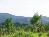 of property in Knysna
