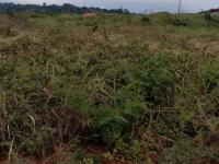  of property in Thohoyandou