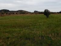  of property in Heidelberg - GP