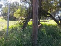  of property in Riversdale