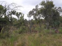  of property in Bela-Bela (Warmbad)